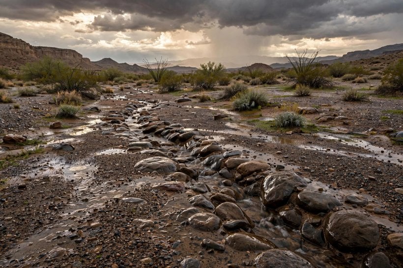 Landscaping with Rocks: a dry creek bed of river rock crossing a gravel yard after a monsoon shower