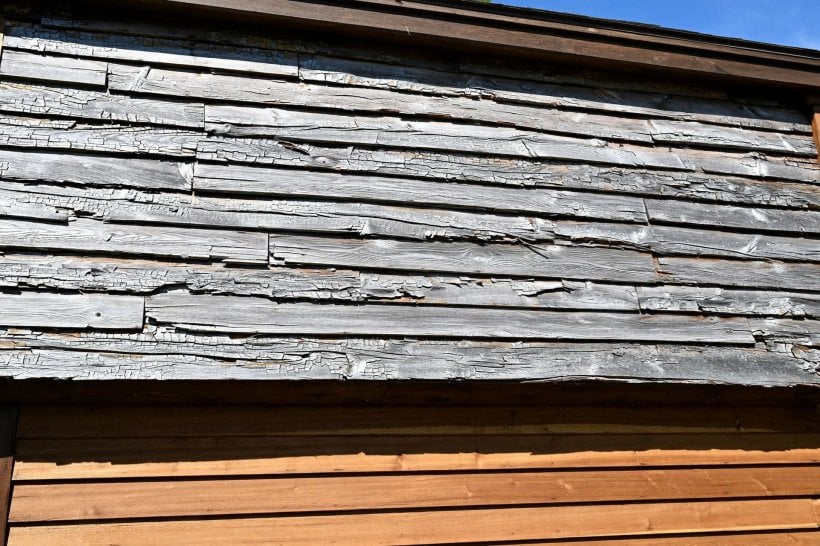 Paint vs. Stain: sun-silvered cedar boards beside shaded boards that kept their colour