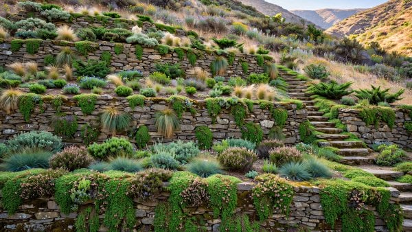 Rock Garden Ideas for Slopes