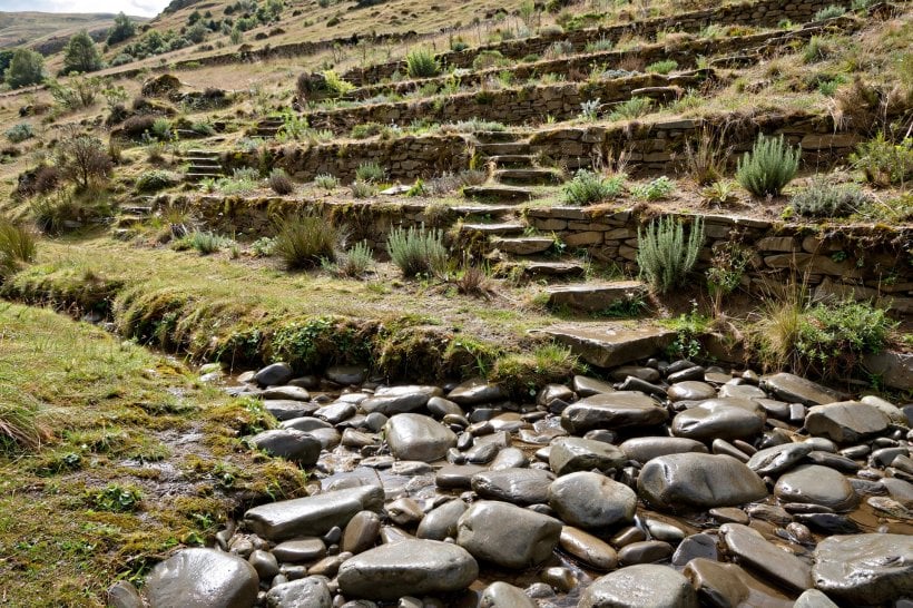 Rock Garden Ideas for Slopes: a dry creek bed collecting drainage at the base of the terraces