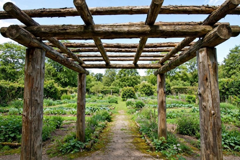 rustic log arbor: looking through a four-post log arbor with generous head clearance