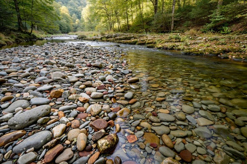 Free Landscaping Rocks: smooth water-worn river rock collected from a gravel bar