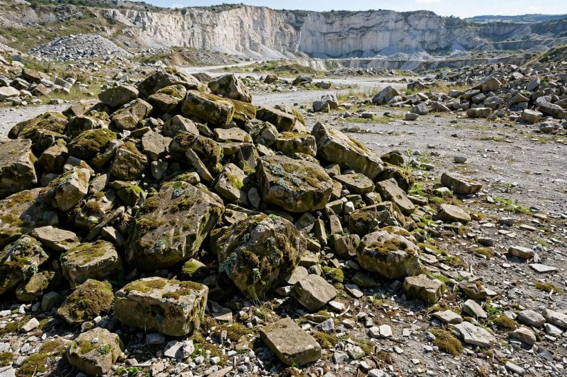 Free Landscaping Rocks: judging weathered mossy stone pieces at a quarry waste pile