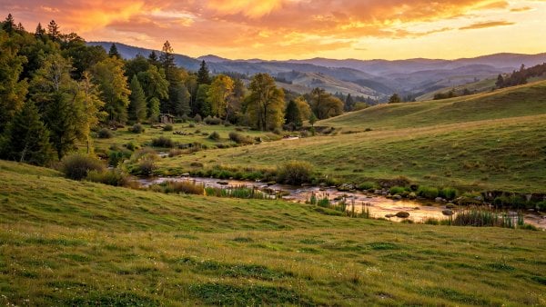 Where to Buy Land for Eco-Living