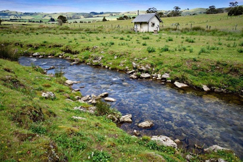Where to Buy Land for Eco-Living: a spring-fed creek and well site on pasture land