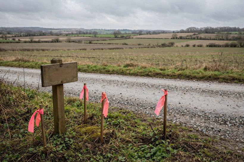 Where to Buy Land for Eco-Living: survey stakes and boundary markers on a parcel