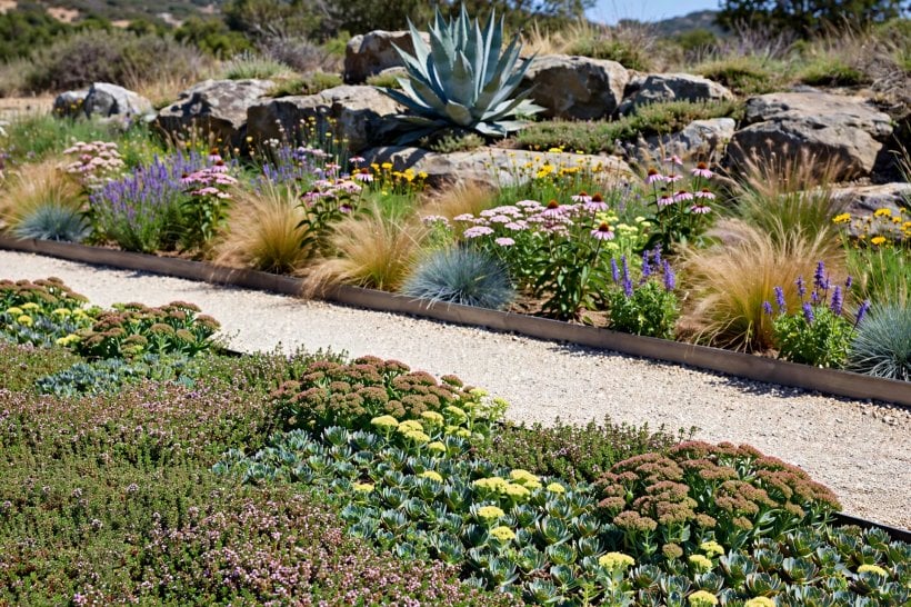 Xeriscaping with Rocks and Native Plants: drifts in three layers around a boulder anchor and a sculptural agave